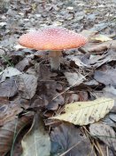 20191110_114626.jpg