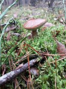 20191110_095230.jpg