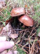 20191110_093809.jpg