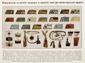 Иллюстрация_к_статье_«Австро-Венгрия»_№_4._Военная_энциклопедия_Сытина._Том_1_(СПб.,_1911—1915).jpg