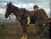 german-soldier-horse-k98.jpg