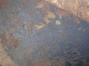 DSC02568.JPG