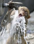 water_10.jpg