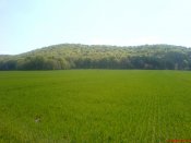 DSC05260.jpg
