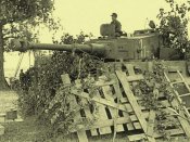 Tiger 114,.jpg