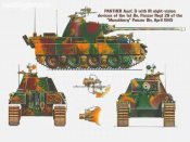 pz5_ (2).jpg