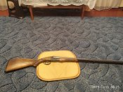 IMG_20191113_082541.jpg