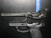 кря2455565.jpg