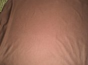 PB290015.jpg