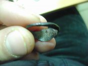 DSC08769.JPG