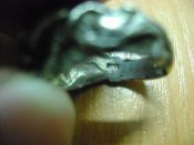 DSC08609.JPG