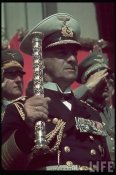 Erich Raeder.jpg