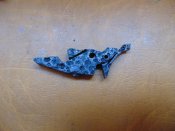 DSC05959.JPG