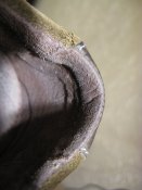 IMG_7694.JPG
