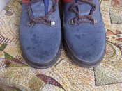 IMG-20191116-47547.jpg