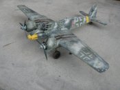 736-800x600.jpg