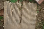 DSC01763.JPG