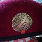берет армии швейцарии сухопутных войск