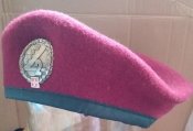 берет армии швейцарии сухопутных войск