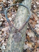 IMG_20191117_102656.jpg