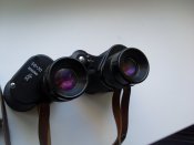 SL371206.JPG