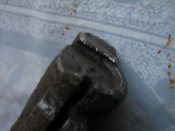 IMG_7062.jpg