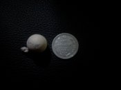 SNC00638.jpg