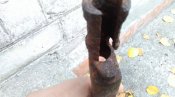 Блокадник