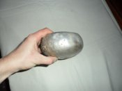 SAM_8117.jpg