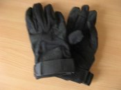 IMG_0003_thumb.jpg