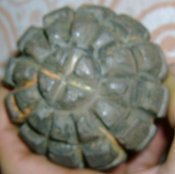 DSC03571.JPG