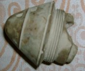 DSC03557.JPG