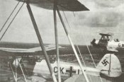 Focke-Wulf Fw44C.jpg