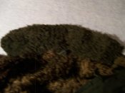 100_4508.jpg