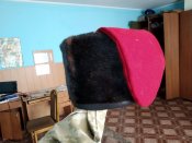 IMG_20191003_124029.jpg