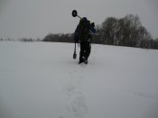IMG_7833.jpg