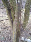IMG_20191124_095158.jpg