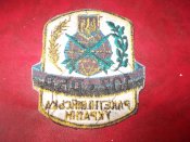 шеврон.