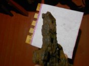 DSCN8946.JPG