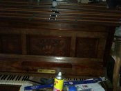 IMAG0709.jpg