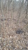 20191126_125911.jpg