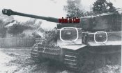 mackinatiger2.jpg