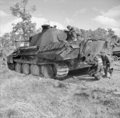 German Panther tank Operation Epsom 27 June 1944 b.jpg