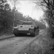 German PzKpfw V Panther tank now in use by 4th Coldstream Guards 6th Guards Tank Brigade 29 Nove.jpg