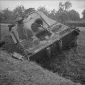 Panther Ausf D.jpg