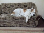 20121102_205605.jpg