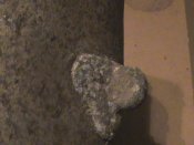 2786588113_5.jpg