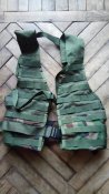 FLC US Army Woodland