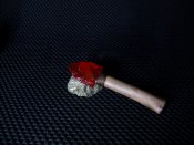 100_6806.JPG