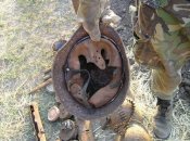 P8020171_новый размер3.jpg